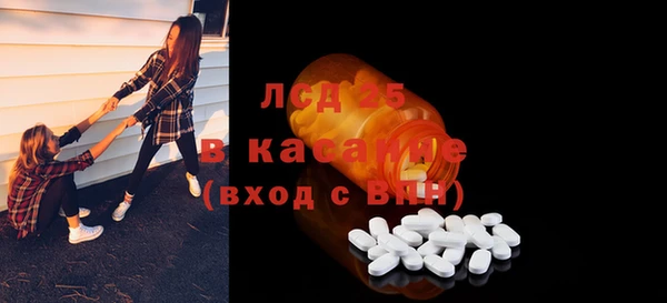 сатива Сатка