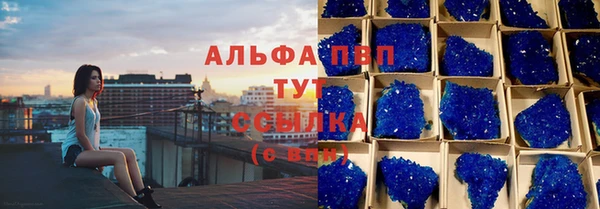 ПСИЛОЦИБИНОВЫЕ ГРИБЫ Куровское