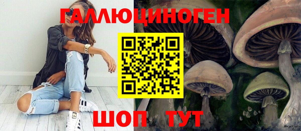 Псилоцибиновые грибы GOLDEN TEACHER  Вход с VPN  Спасск-Дальний 
