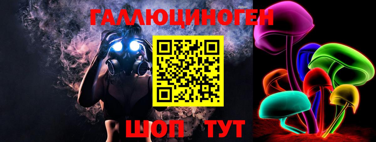 наркотики  Спасск-Дальний  Псилоцибиновые грибы Cubensis 